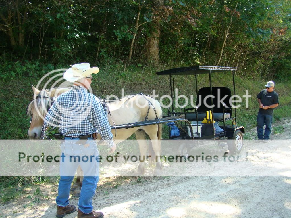 Used forecarts for sale >> pioneer forecarts ga >> forecart plans