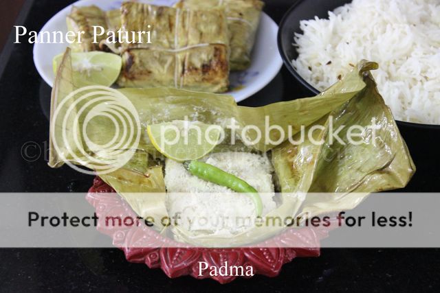 photo paner paturi.jpg