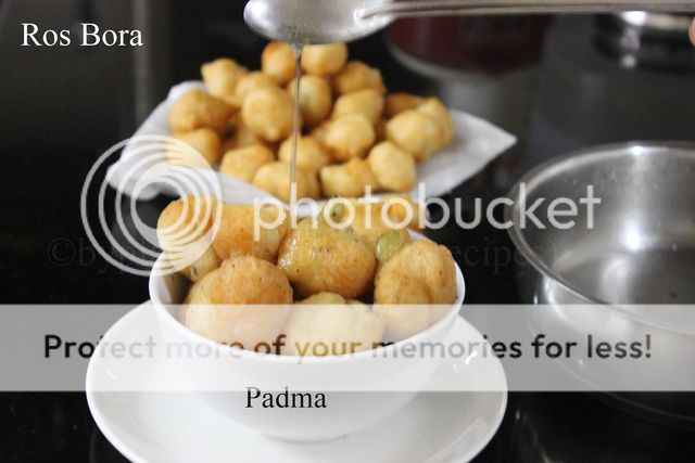 photo rosbora.jpg