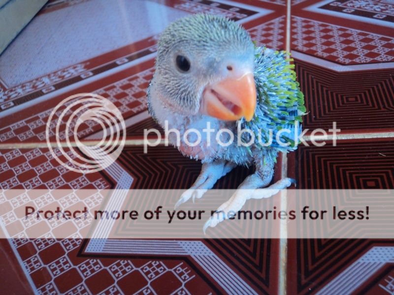 118-02-201322.jpg