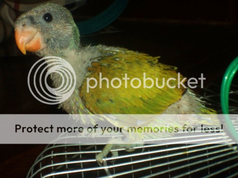 224-02-201311.jpg