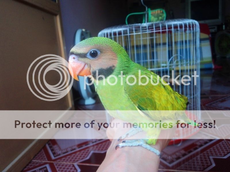 311-03-201311.jpg