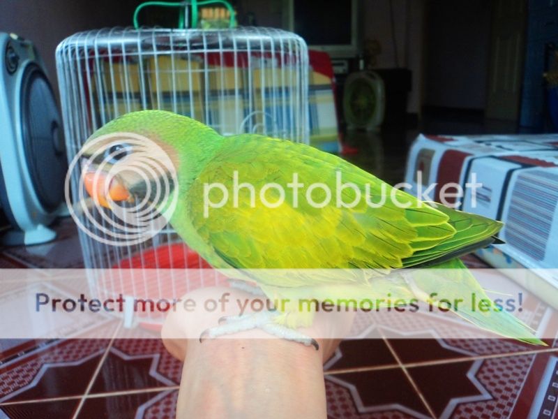 311-03-201316.jpg